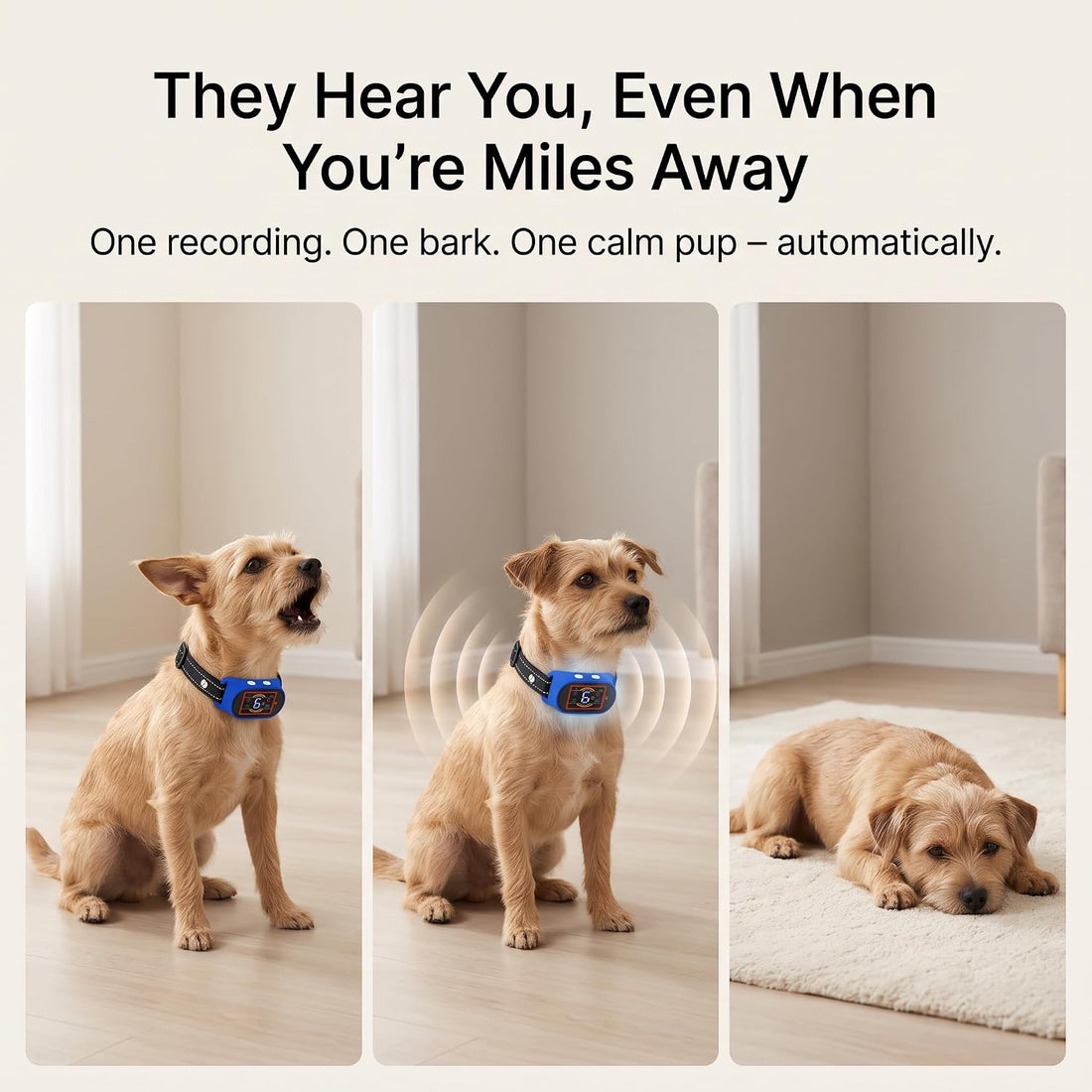 Voice Memo Anti Bark Collar, Smart Dog Bark Collar