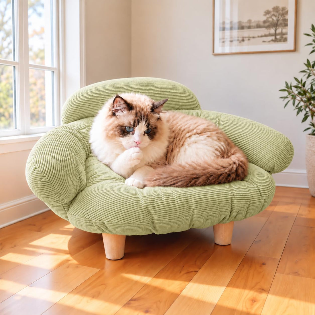 Elevated Cat Sofa Bed, Raised Cat Couch Pet Sofa for Indoor Cats