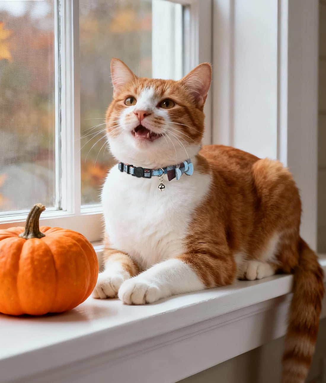 Joytale Upgraded Cat Collar with Bells