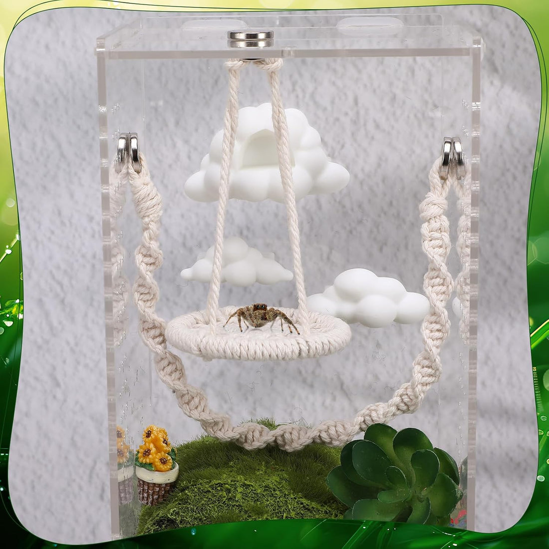 Jumping Spider Enclosure Accessories 5Pcs Cloud Magnetic Rope