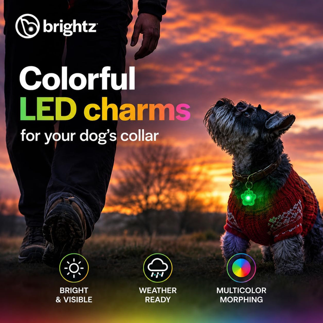 Brightz PupBrightz LED Dog Collar Charms, Paw & Bone, 2-Pack