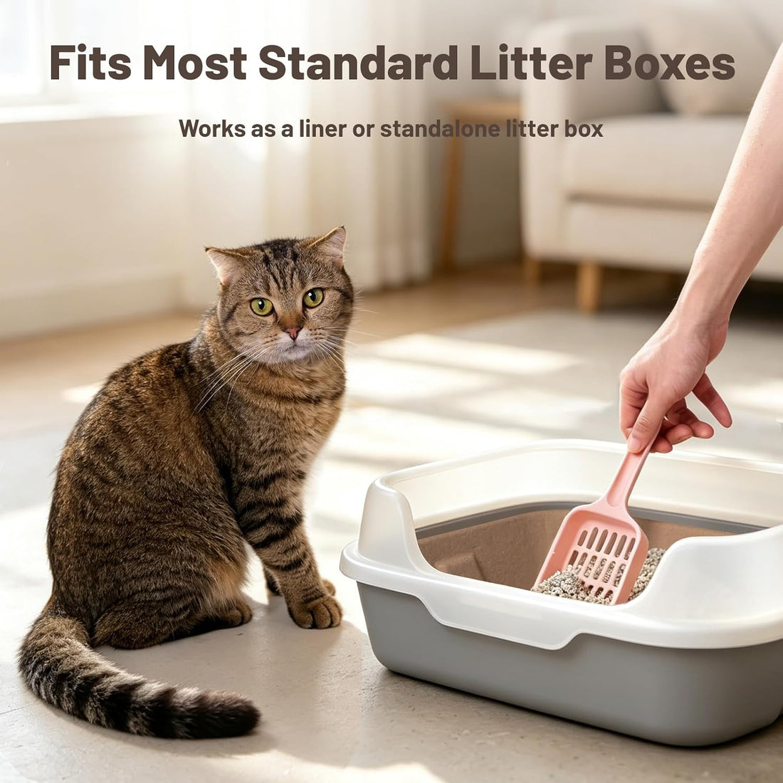 KAKKUE 4 Pack Disposable Cat Litter Boxes