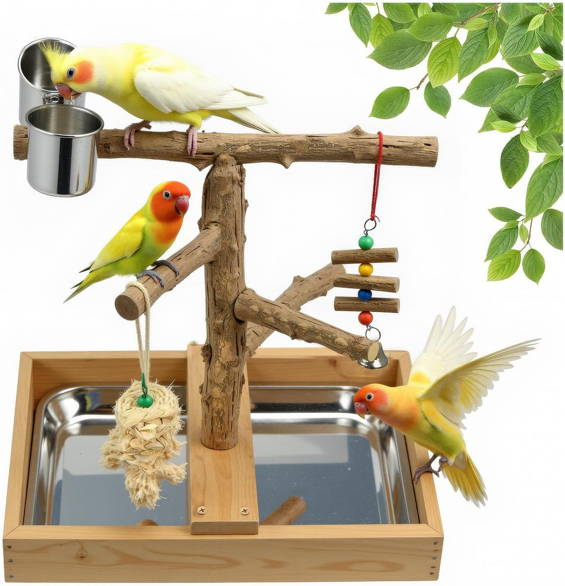 Bird Playground, Parrot Perch Stand