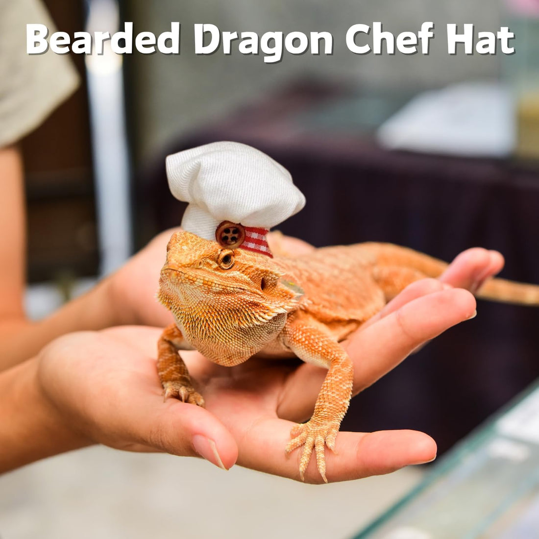 2 Pack Bearded Dragon Chef Hats Small Animal Cotton Cooking Chef Cap