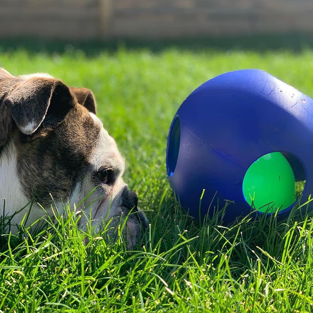 Jolly Pets Teaser Ball Interactive Dog Toy, 8 in Large