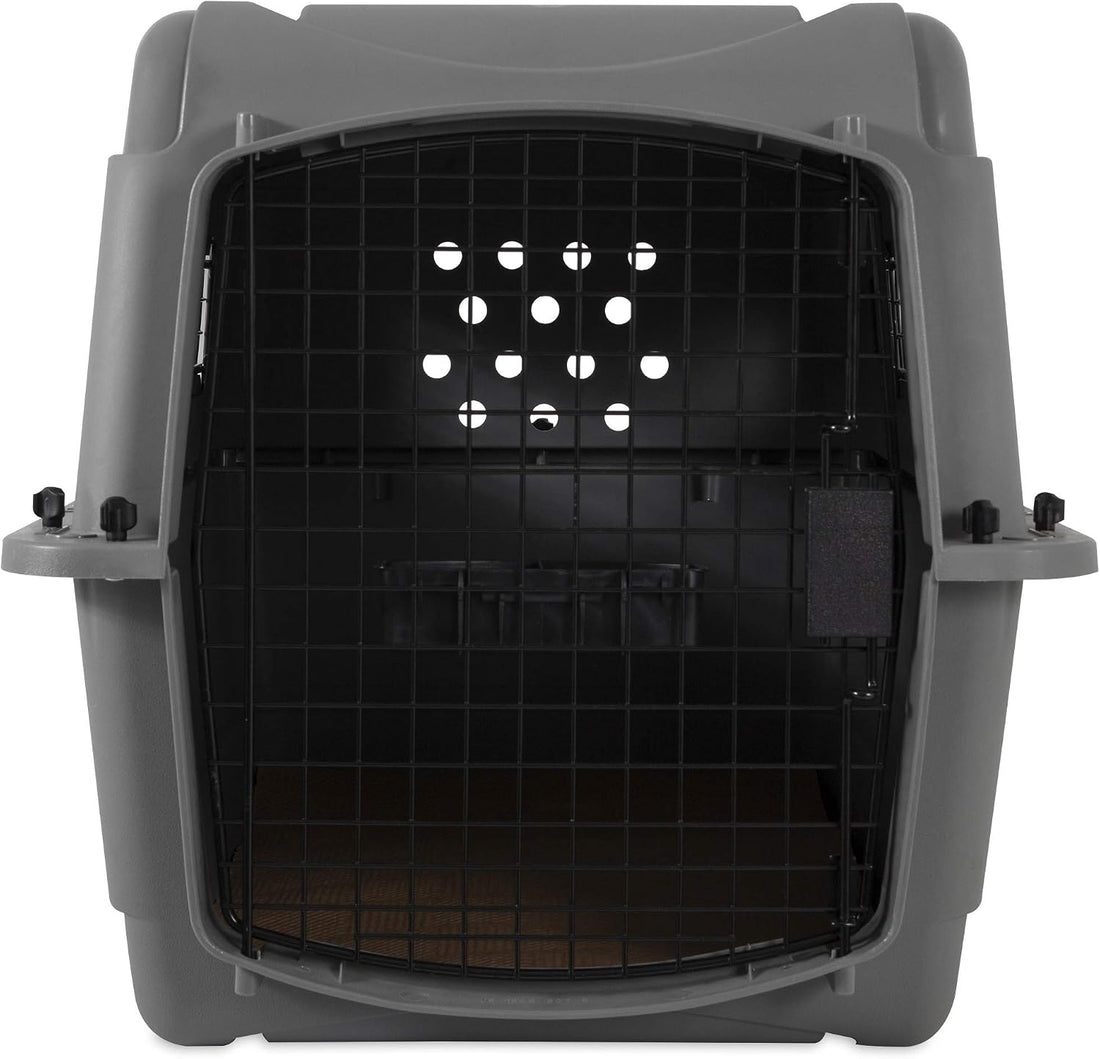 Petmate Sky Kennel Pet Carrier and Petmate 290300 Kennel Travel Kit