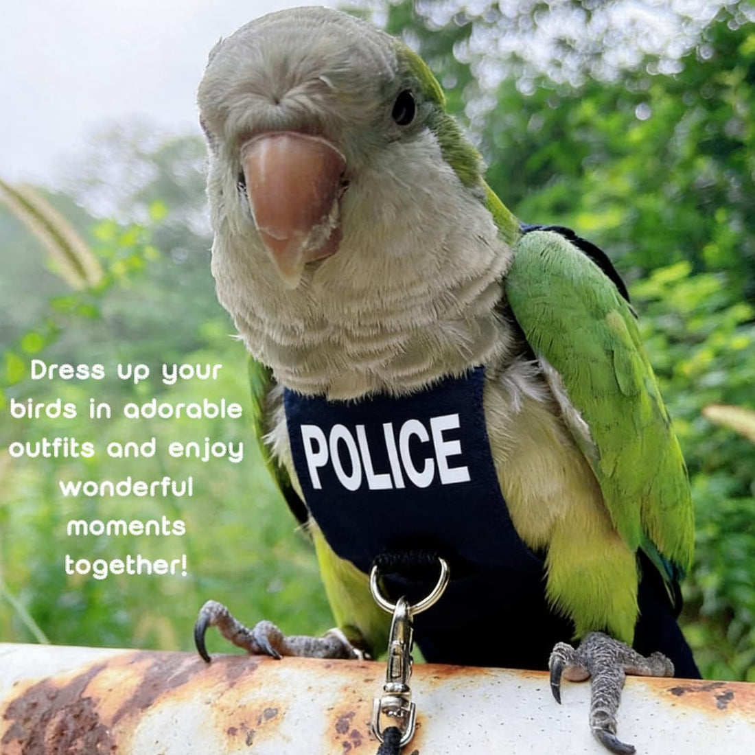 Bird Diaper Flight Suit Cute Cosplay Parrot Clothes (with Leash,XS)