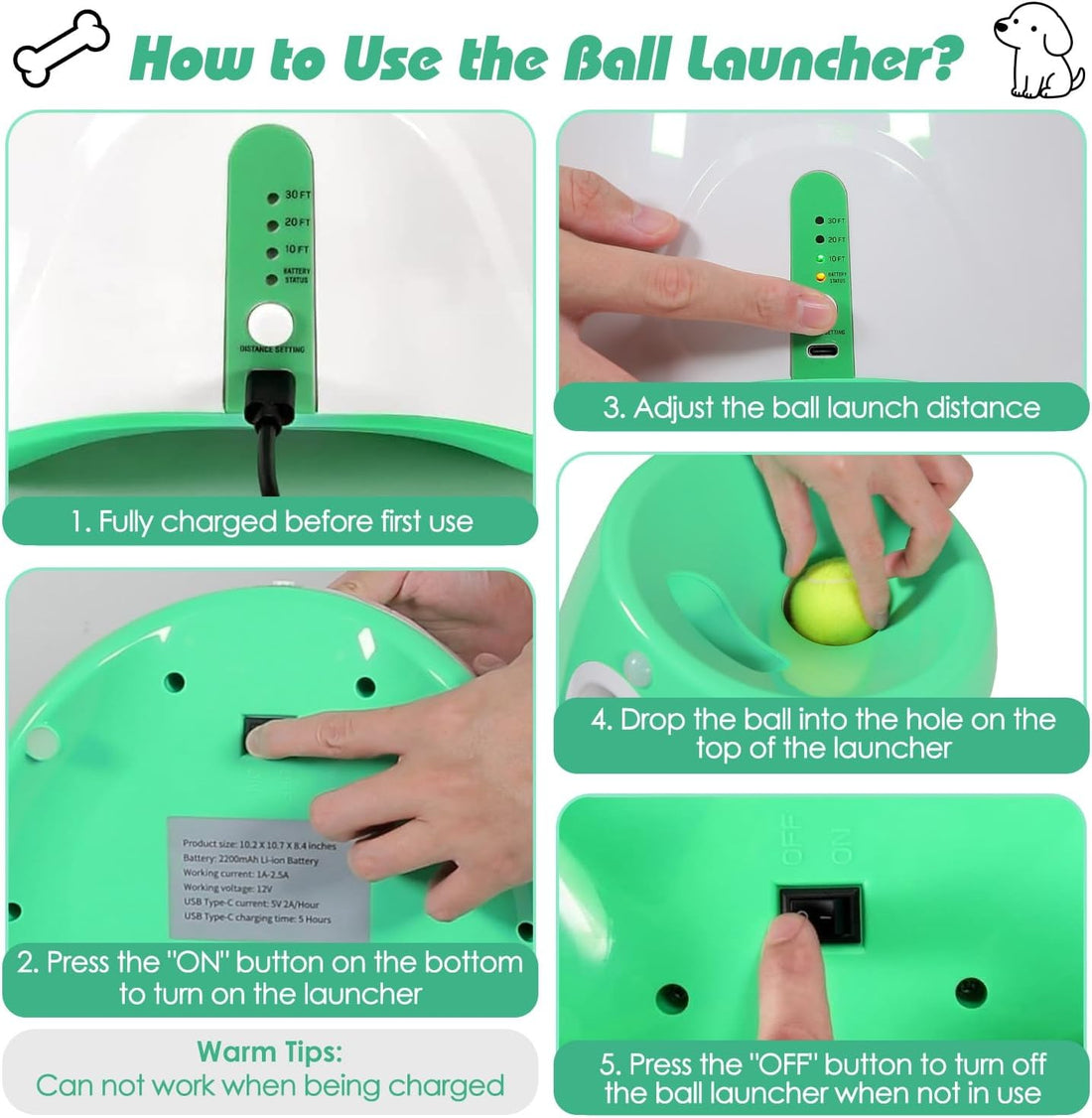 TeqHome Automatic Ball Launcher for Dogs