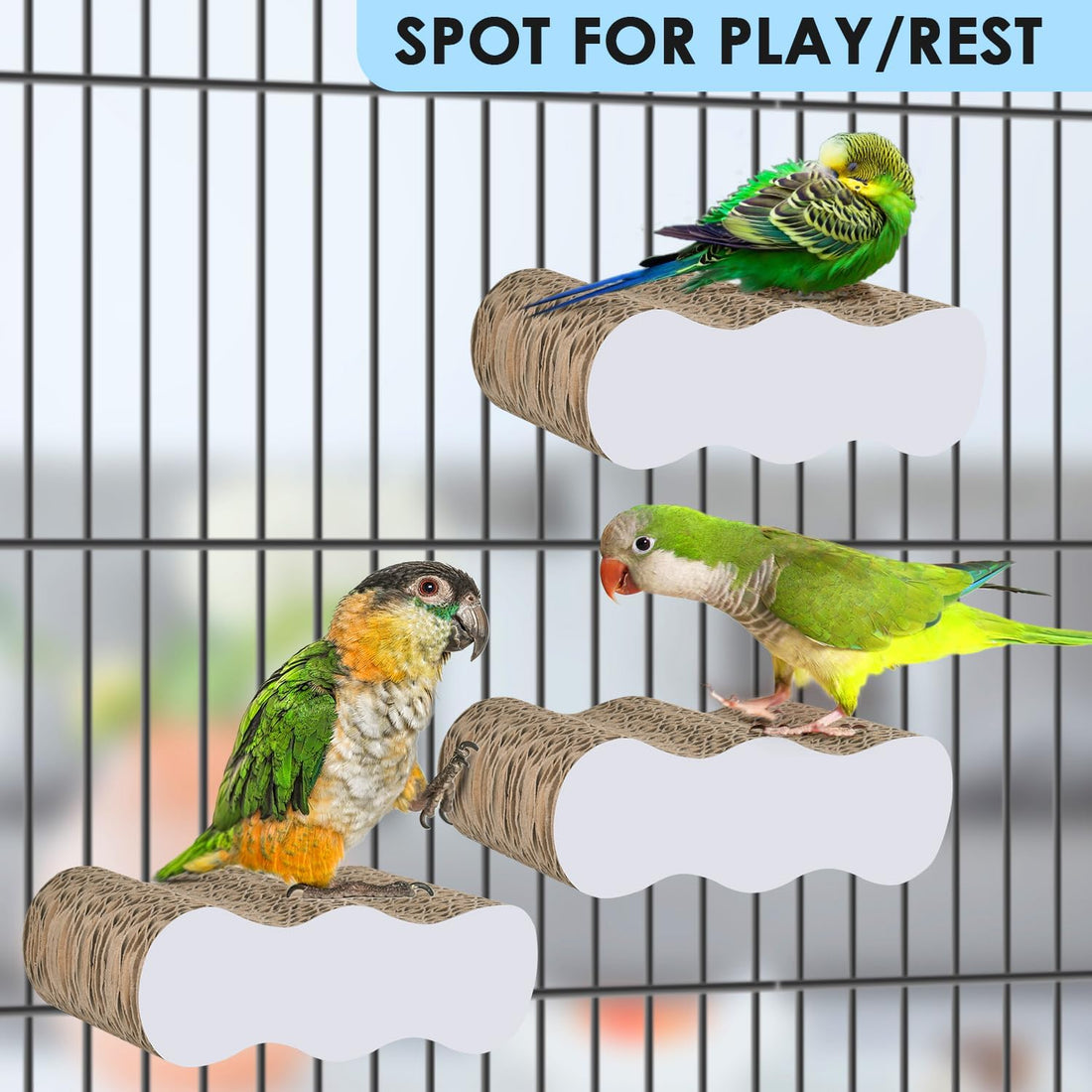 KATUMO Bird Perch Conure Cage Stand Parakeet Shredder Foraging Toys