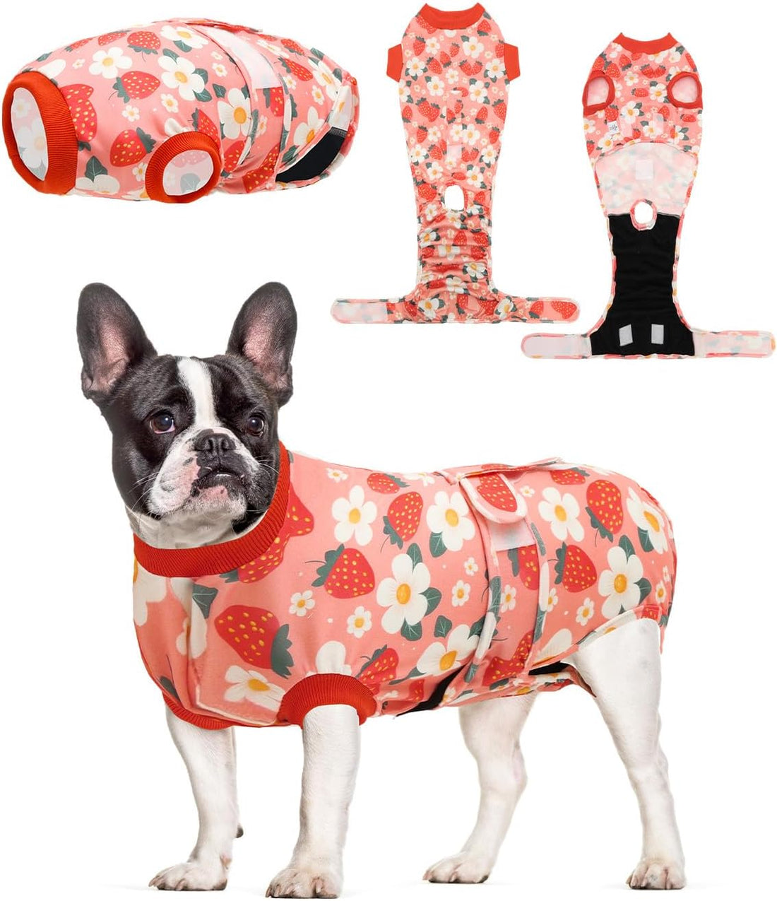 CuteBone Dinosaur Pet Surgery Recovery Suit for Small Medium Dogs Cats