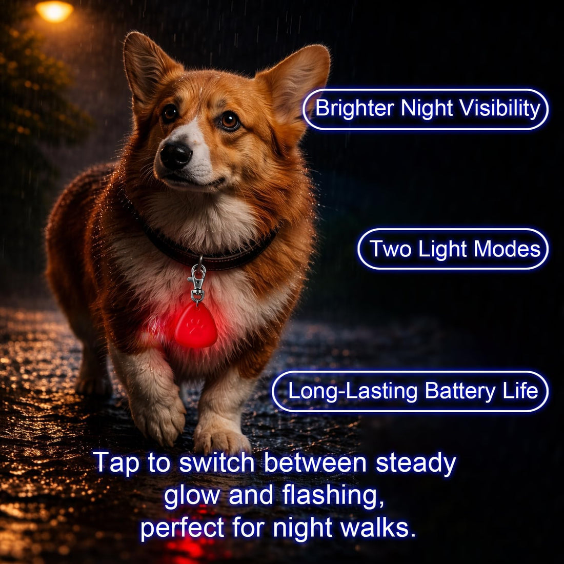 QUELIEN LED Dog Collar Light