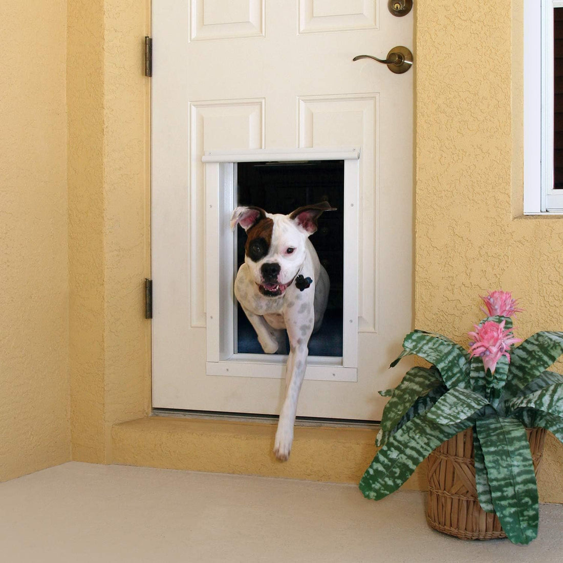 PlexiDor Performance Pet Doors Electronic Dog Door Large Bronze Door