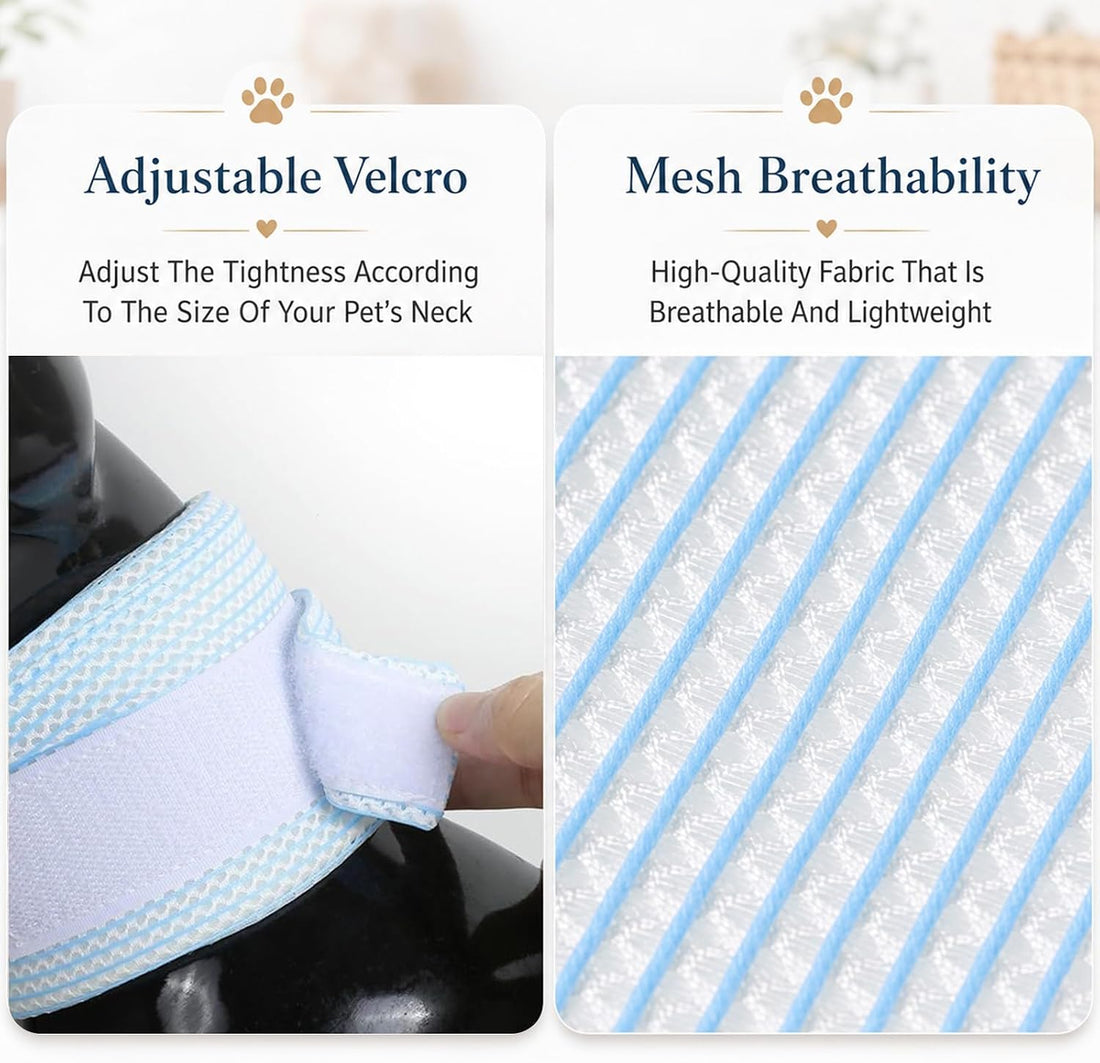 Cat Neck Brace Adjustable Elizabethan Collar After Surgery Recovery