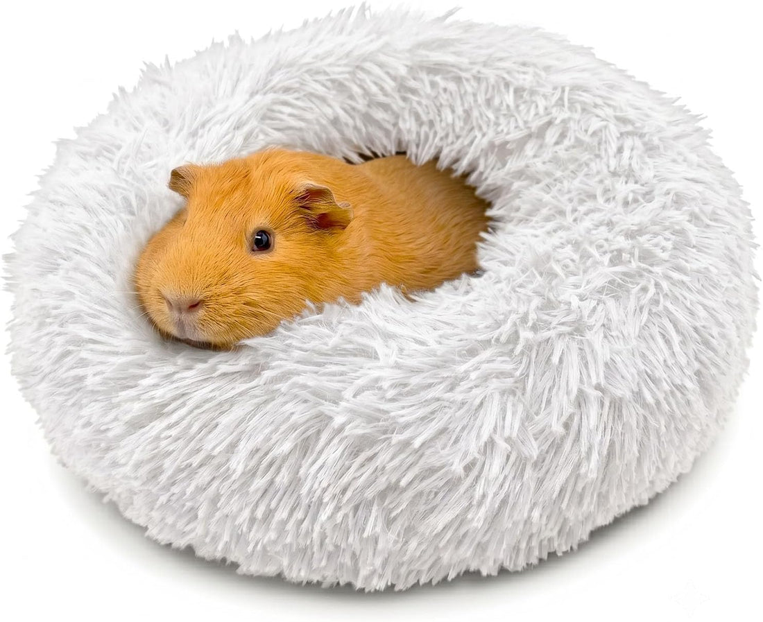 Paw Inspired Furr-O Burrowing Pet Bed Enrichment, Removable Base
