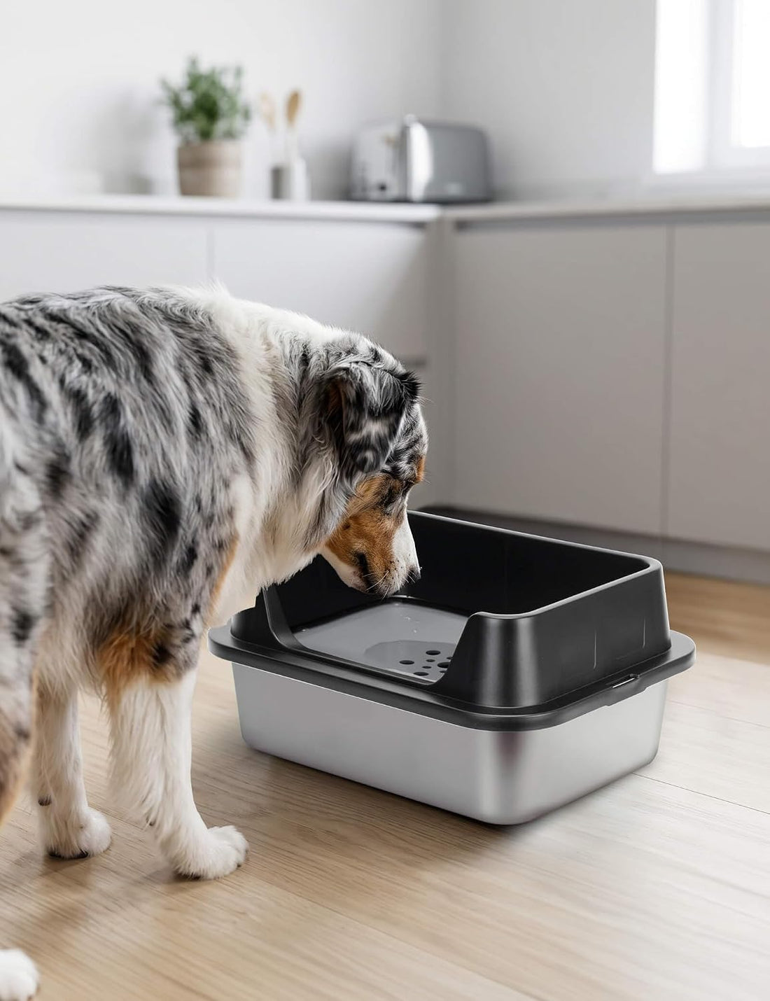 11L No Spill Dog Water Bowl with Splash Guard & Slow Drink Disk