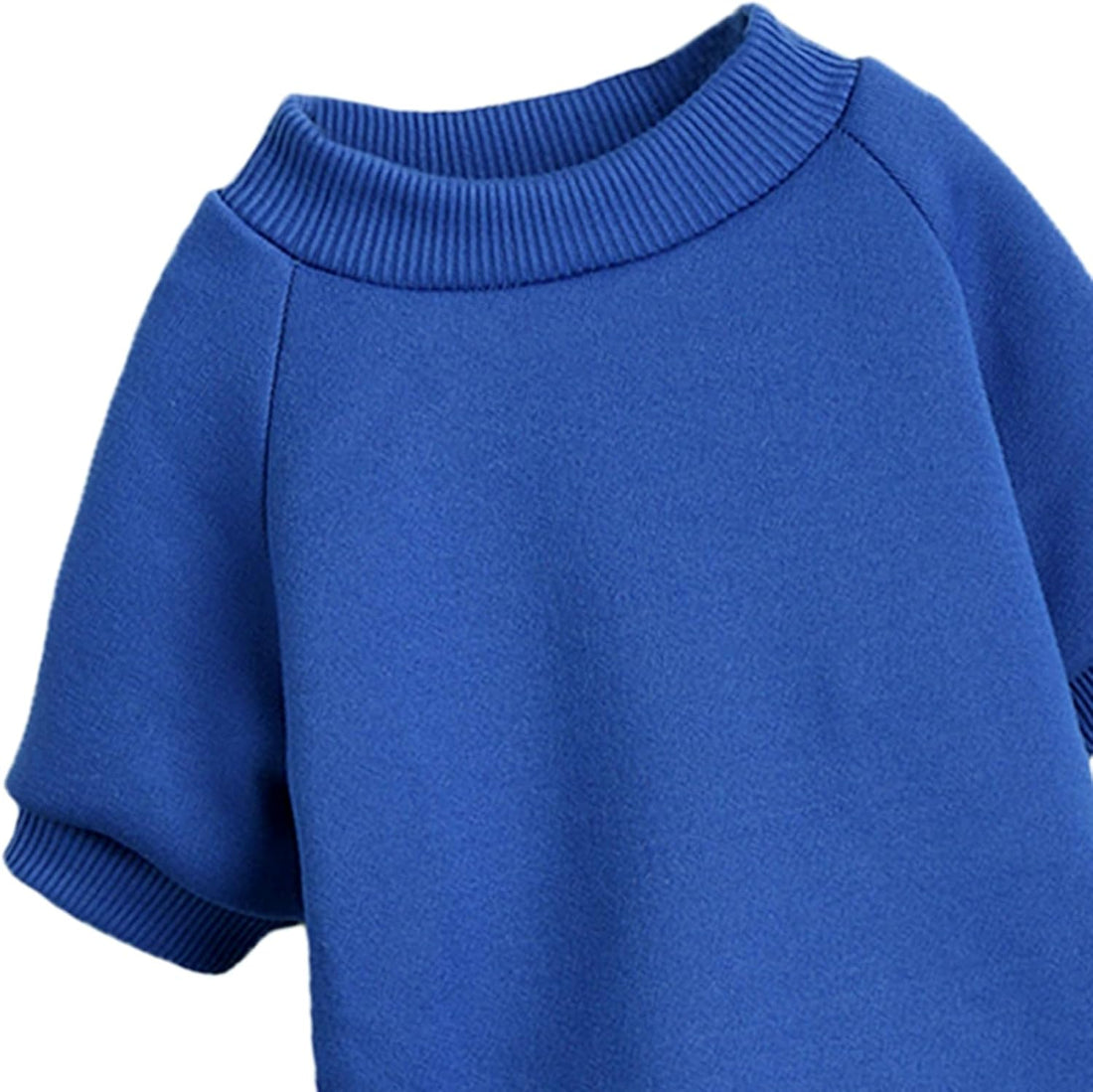 Soft Puppy Sweater for Small Dogs Winter Knit Pullover, Blue S