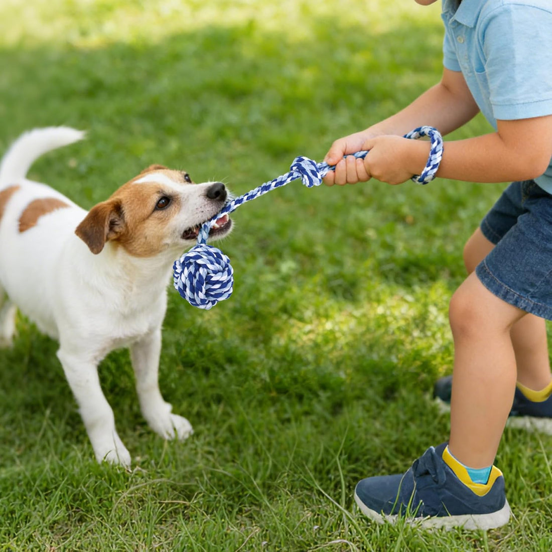 Depets Dog Rope Toys for Small Dogs