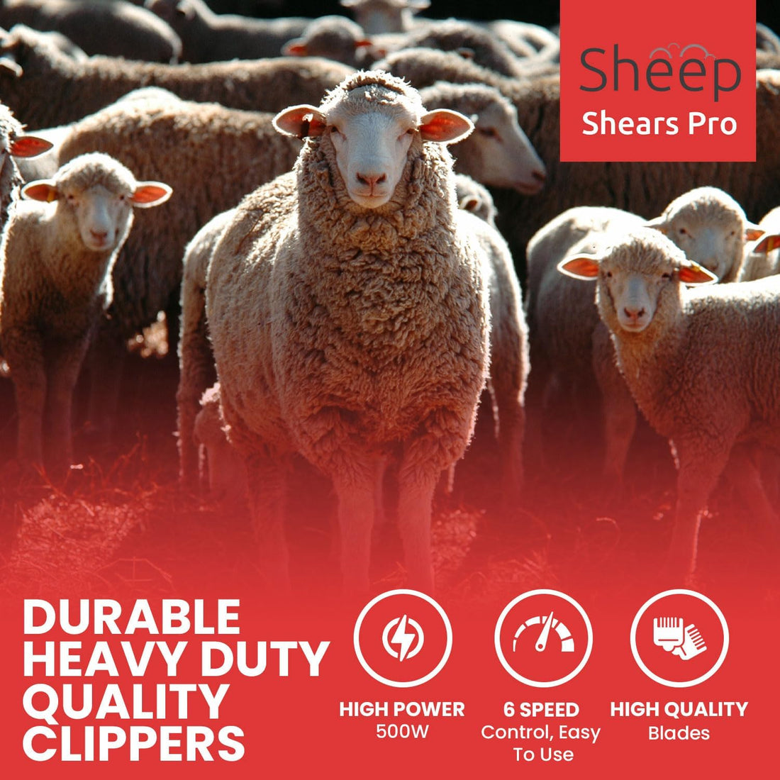 Sheep Shears Pro Electric Sheep Shearing Clipper, 110V