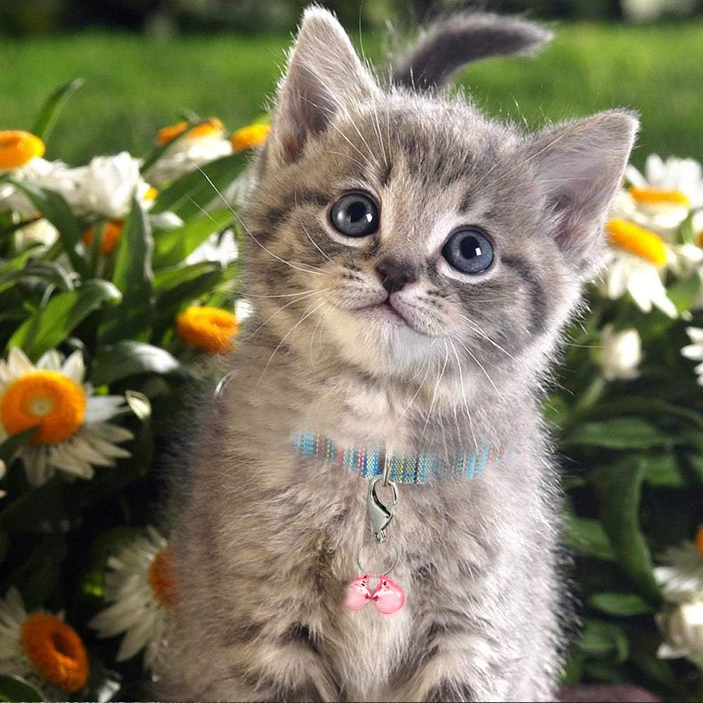 IVIA PET 4 Sets Cat Bell for Dog Collar Charm Training Pet Pendant