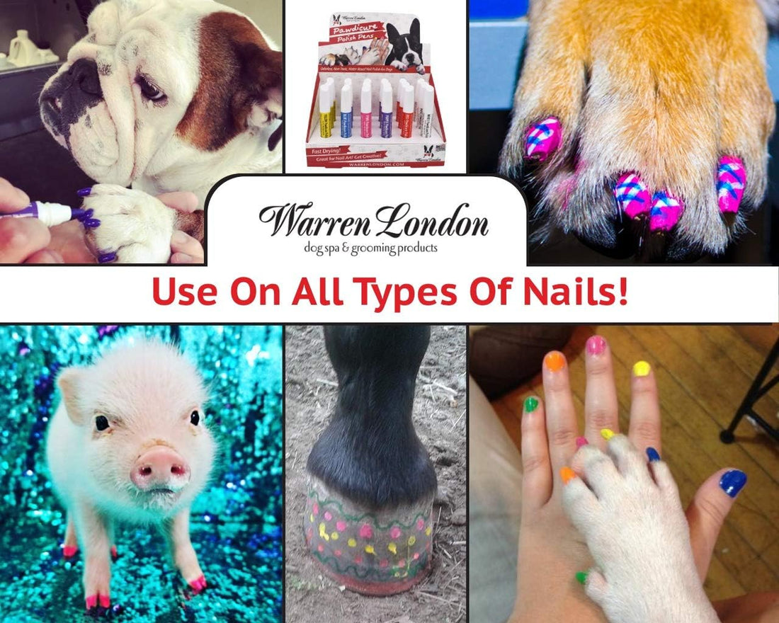 Warren London Pawdicure Dog Nail Polish Pens | Made in USA | Quick Dry