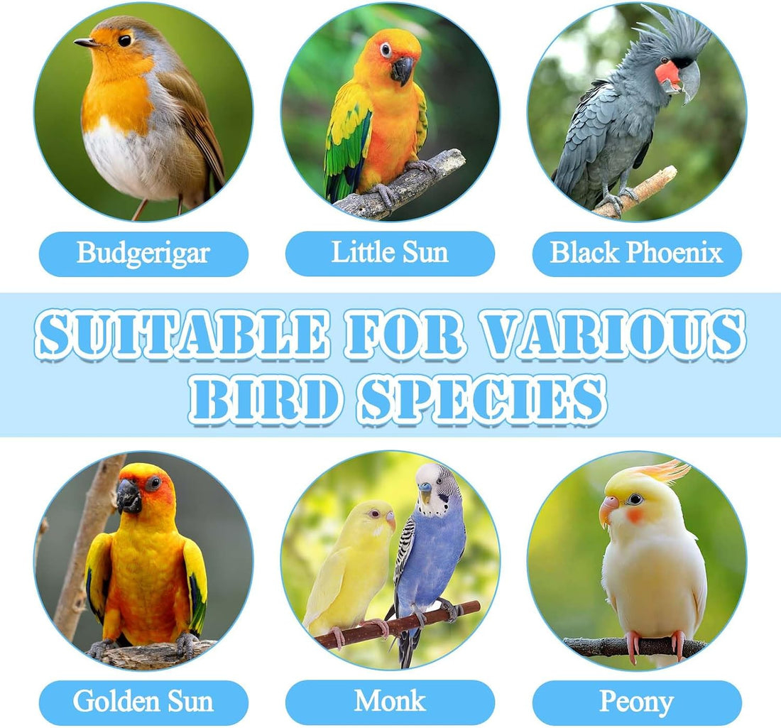 Bird Leash with 4 Different Size Foot Ring