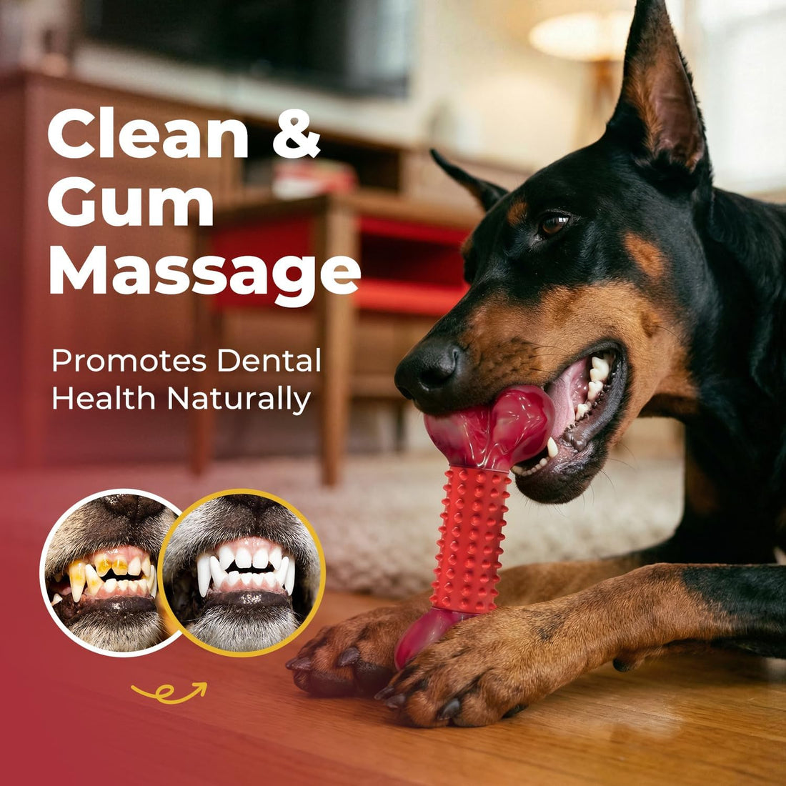 Apasiri Tough Dog Toys for Aggressive Chewers
