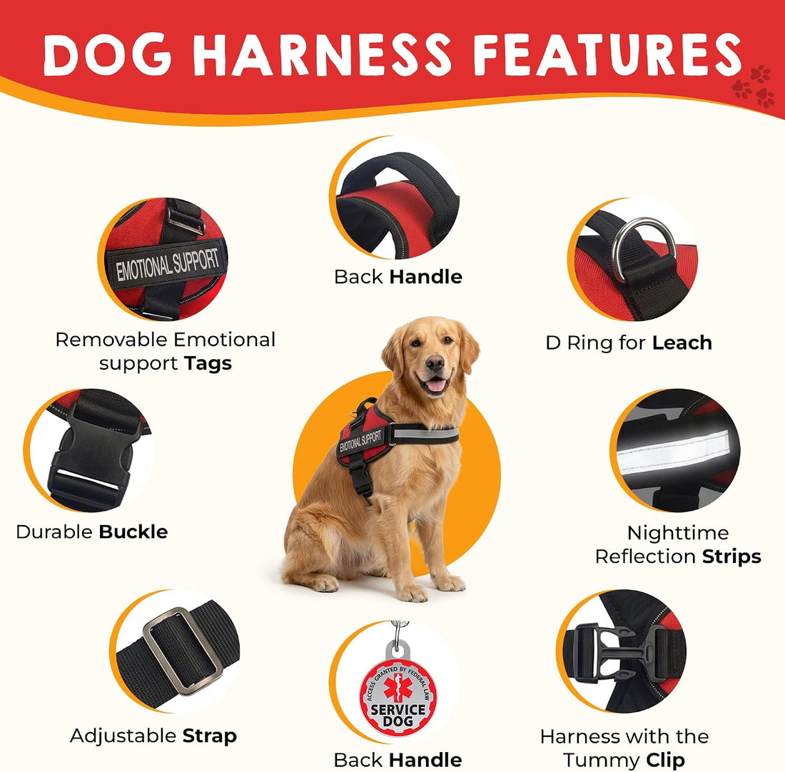 ESA Dog Vest Bundle with ID Tag and Informational Cards