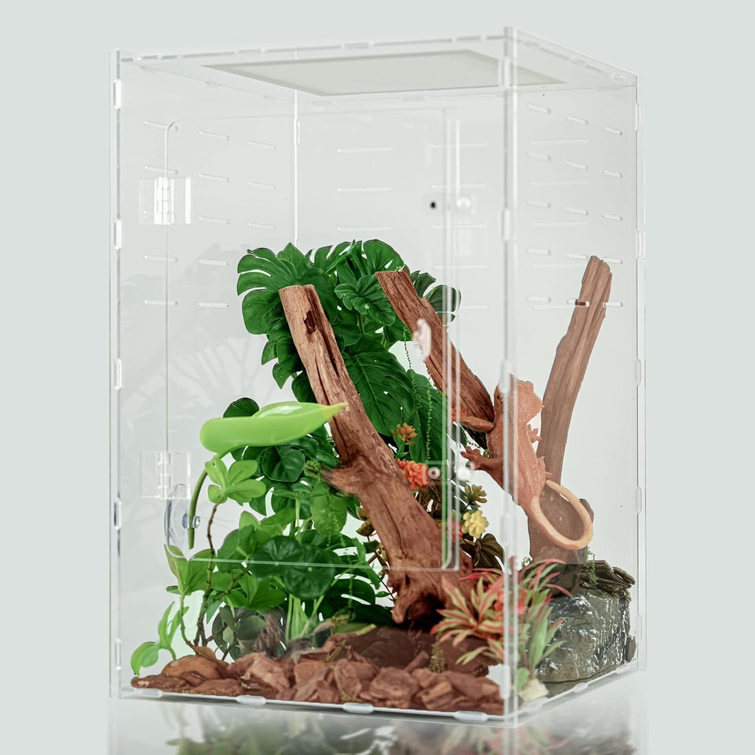 8x8x12 Acrylic Reptile Enclosure - Clear Terrarium Geckos Spiders