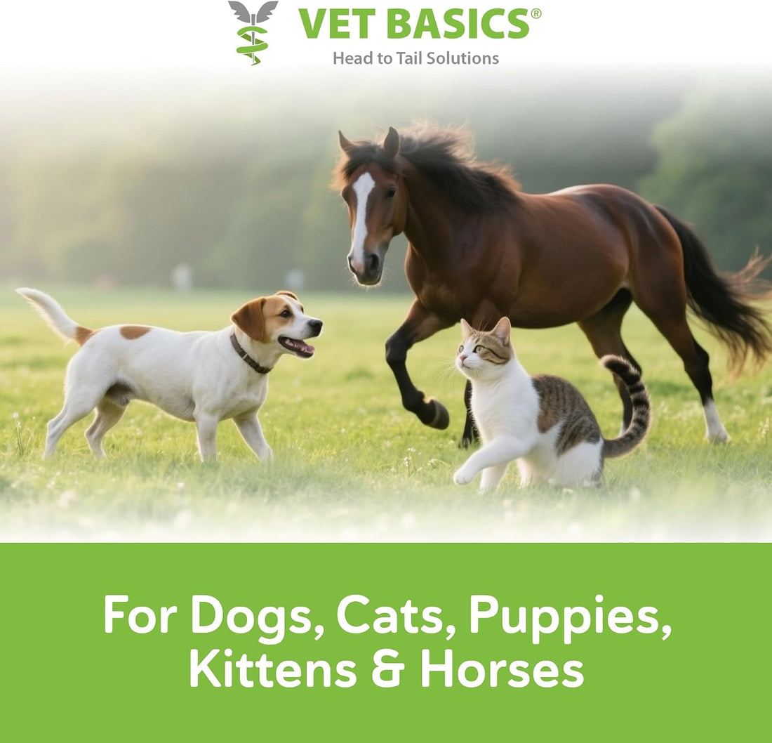 Vet Basics Lime Sulfur Dip for Dogs & Cats, Concentrated Liquid