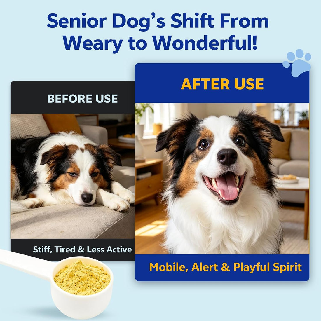 NAD+ for Senior Dogs Longevity Powder with CoQ10 + NR 150mg + NMN 75mg