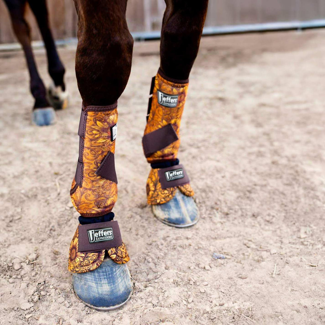 Jeffers Expression Protective Horse Boots, 1 Pair, Medium