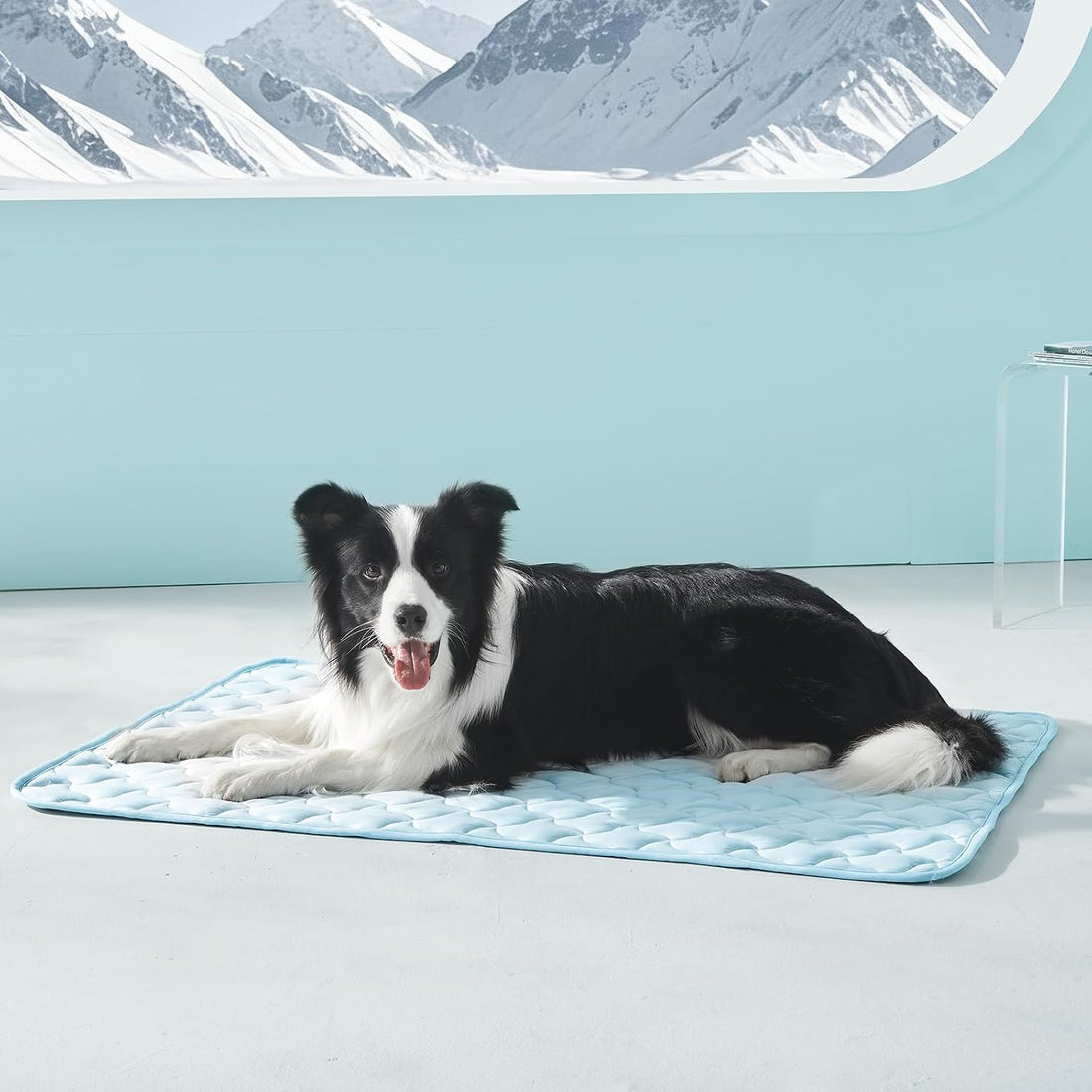 GASUR Cooling Mat for Large Dogs