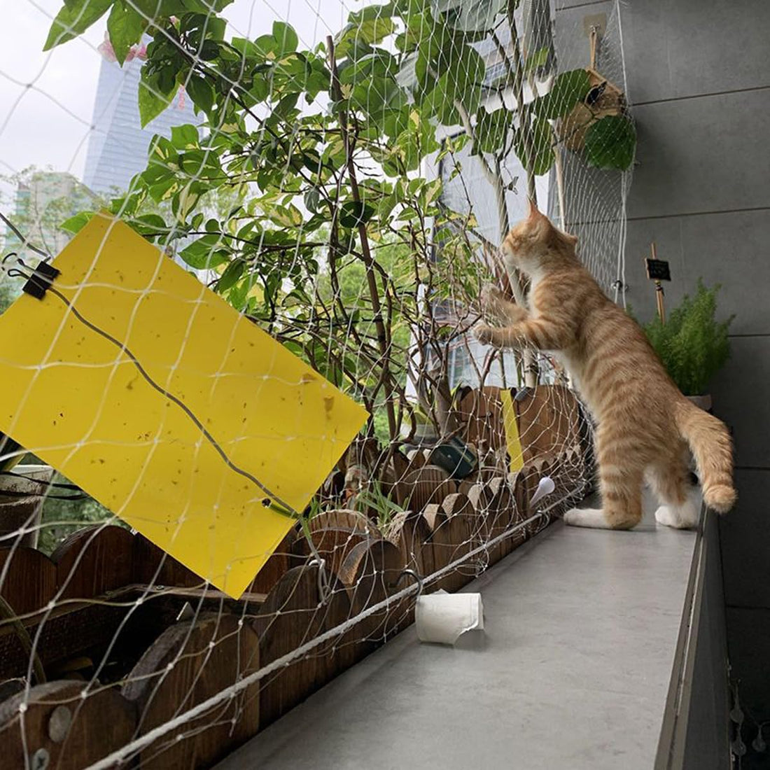 Cat Netting Balcony Anti-Fall Fence Net Small Patio for Balcony High