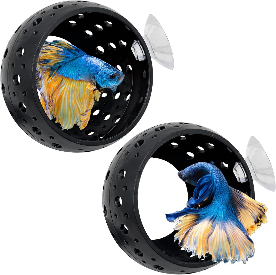 Fhiny Betta Tunnel, Aquarium Betta Fish Hideout with Suction Cup Fish