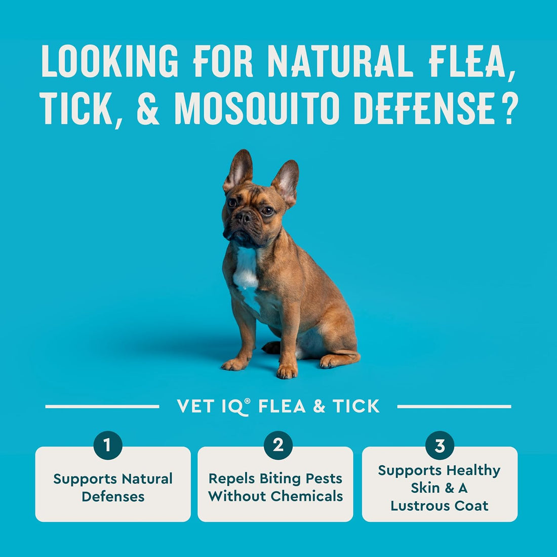 VetIQ Flea & Tick Support for Dogs, Flea and Tick Chewable