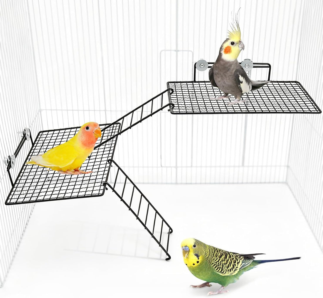 BNOSDM Stainless Steel Bird Cage Platform Climbing Ladder Parrot