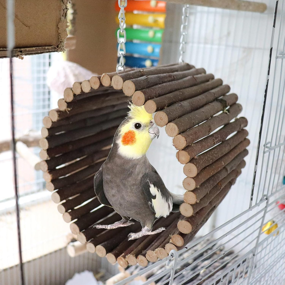 Bird Parrot Swing Toys, Hanging Bird Tree Caves