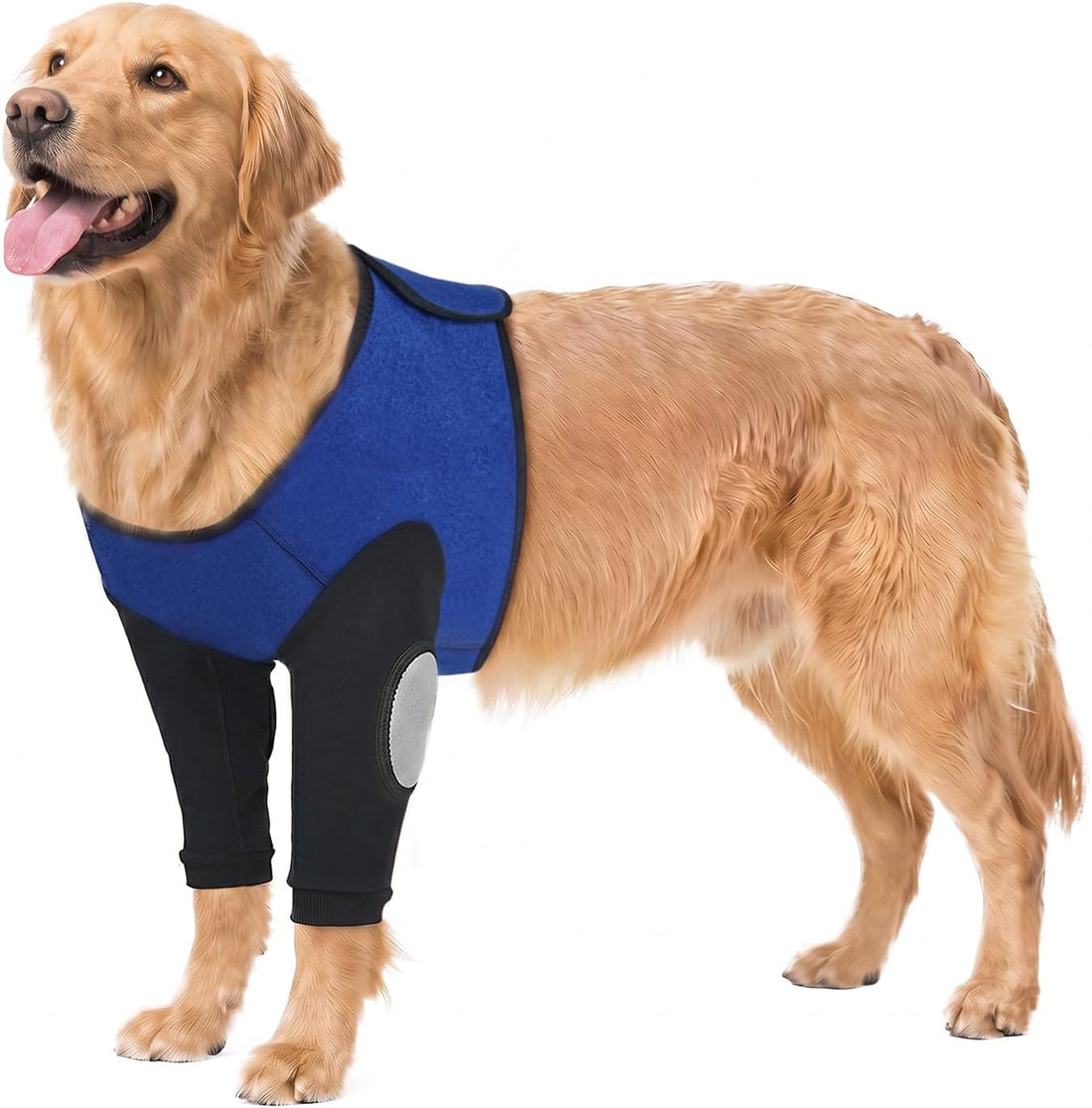 Dog Front Leg Recovery Sleeve to Help Stop Licking, Cone Alternative