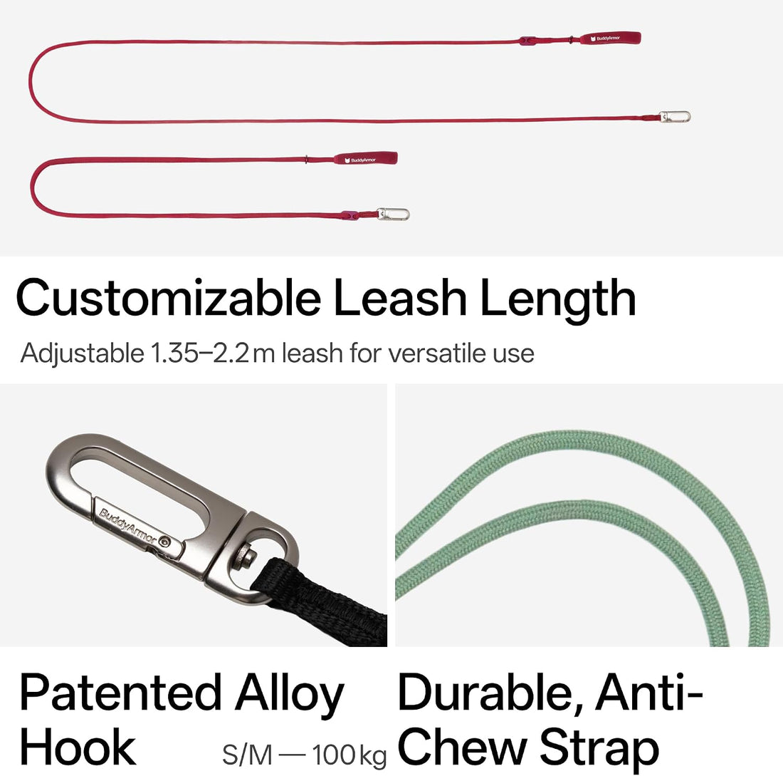 Hands Free Cat Leash Lightweight Adjustable Padded Handle