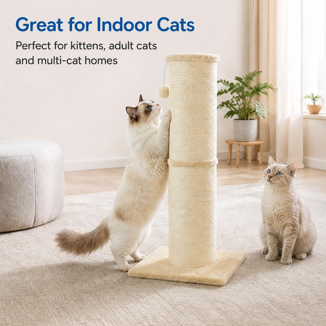 Cat Scratching Post with 5.5 Inch Diameter Sisal Post, 32 Inch