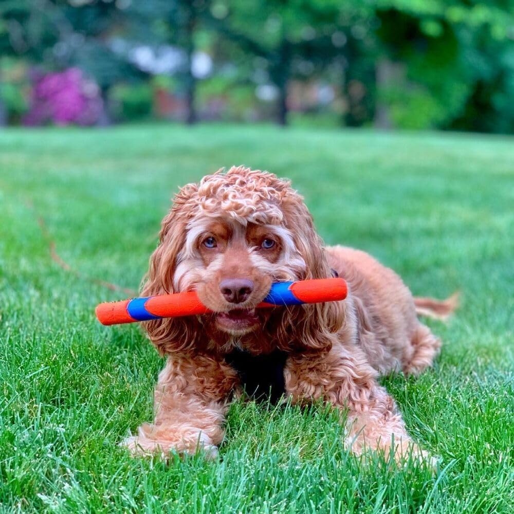 Chuckit! Ultra Fetch Stick Dog Toy Interactive Outdoor Toy for All