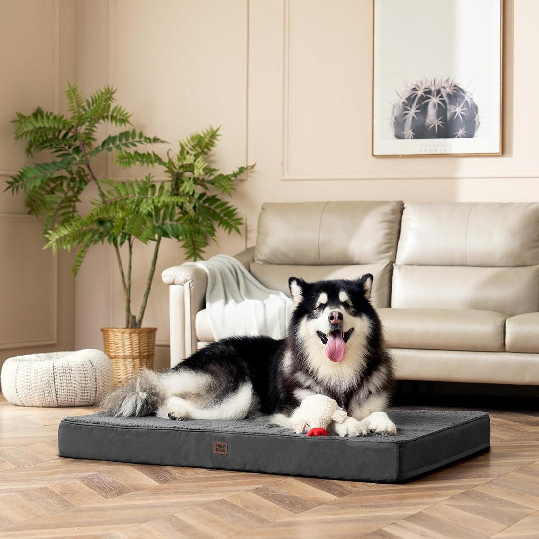 EHEYCIGA Orthopedic XL Dog Beds for Extra Large Dogs with Removable