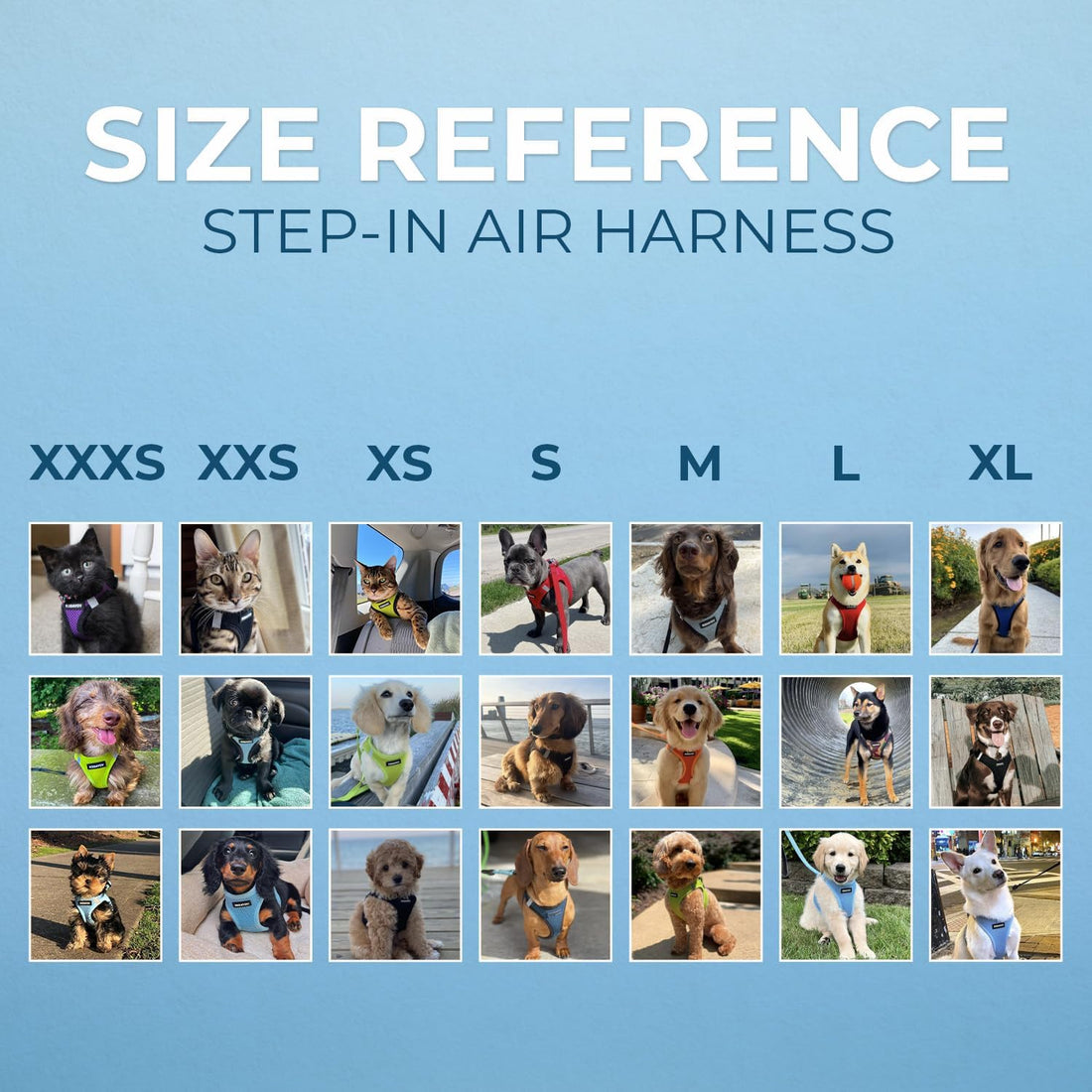 Best Pet Supplies Voyager Step-in Air All Weather Mesh Harness