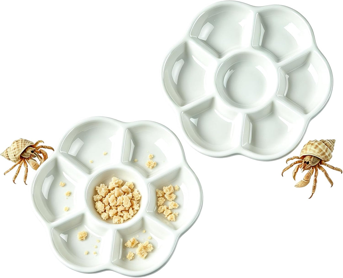 2 Pack Terrarium Bowls, Hermit Crab Water Dishes & Water Bowl
