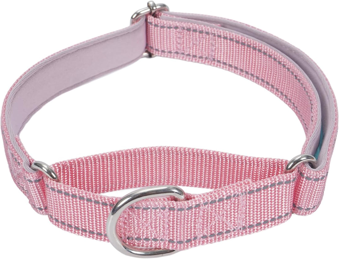 SGODA Martingale Dog Collar, Blue, M