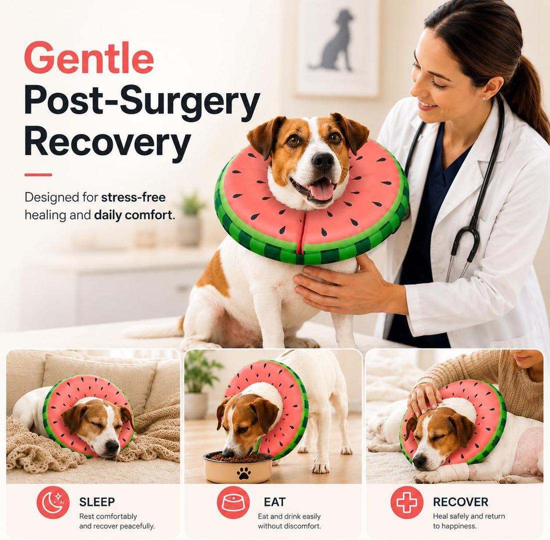 MIDOG Soft Inflatable Dog Cone