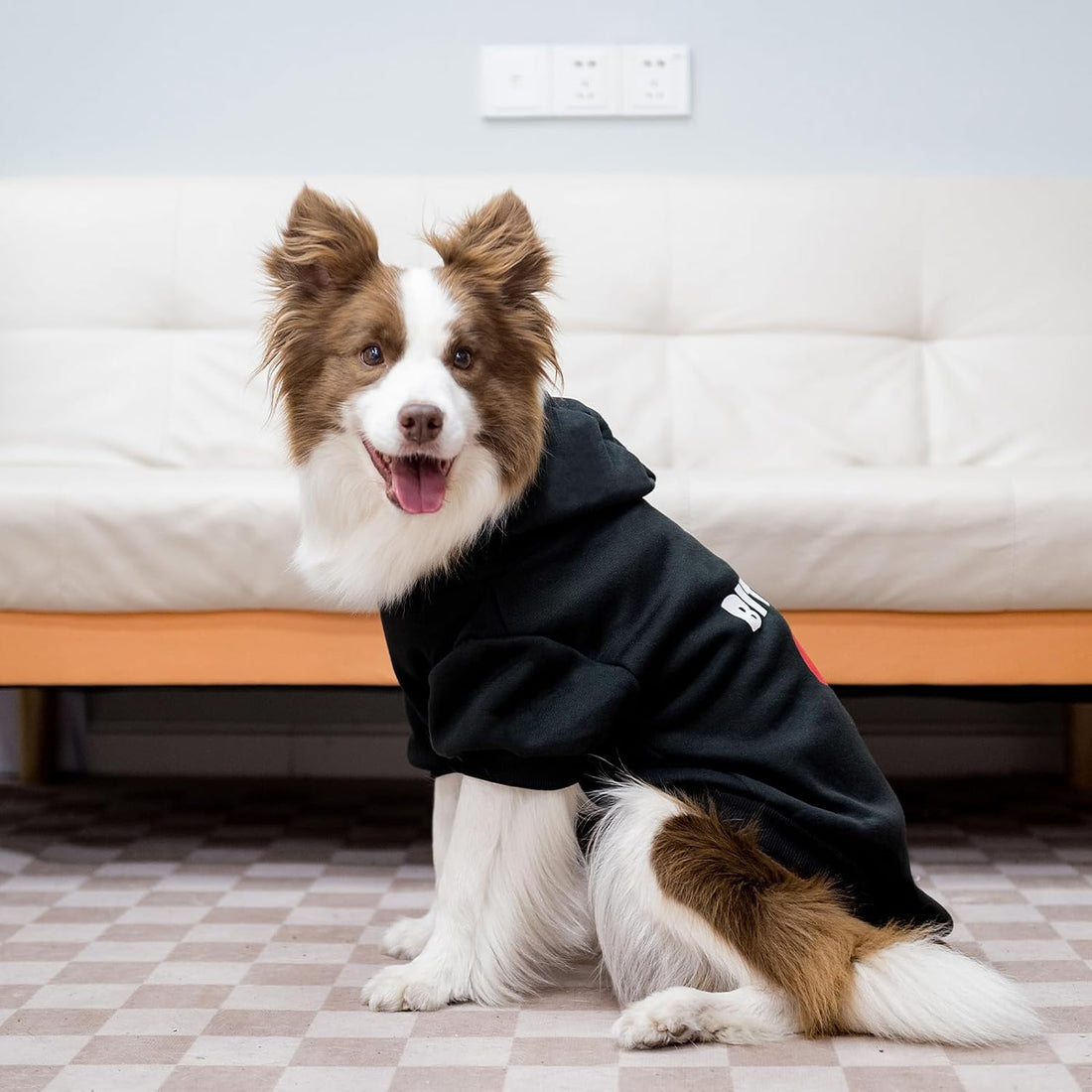 EXPAWLORER Dog Hoodies for Small Medium Large Dogs,Black M