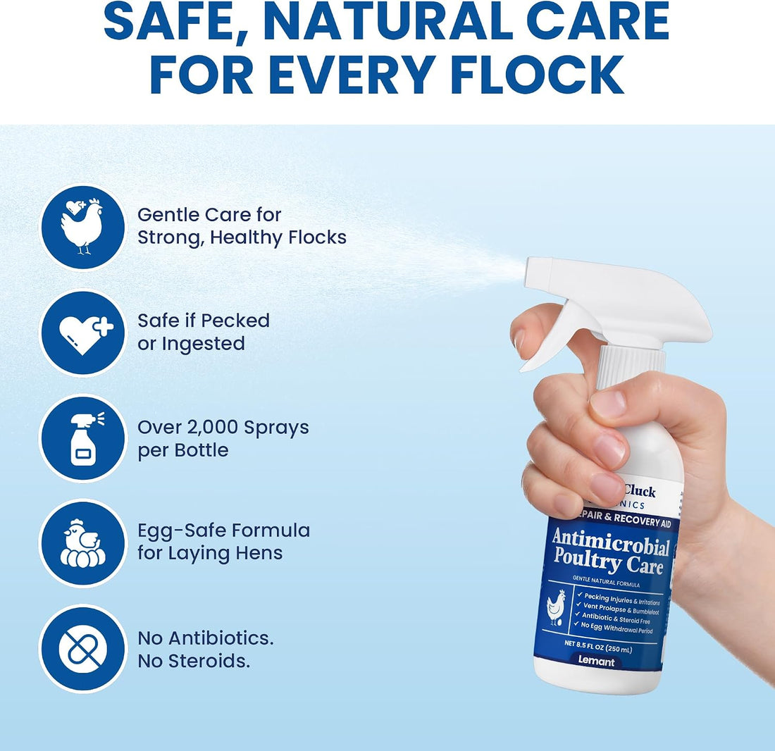 Lemant Poultry Care Spray | Skin Repair & Recovery Aid for Chicken