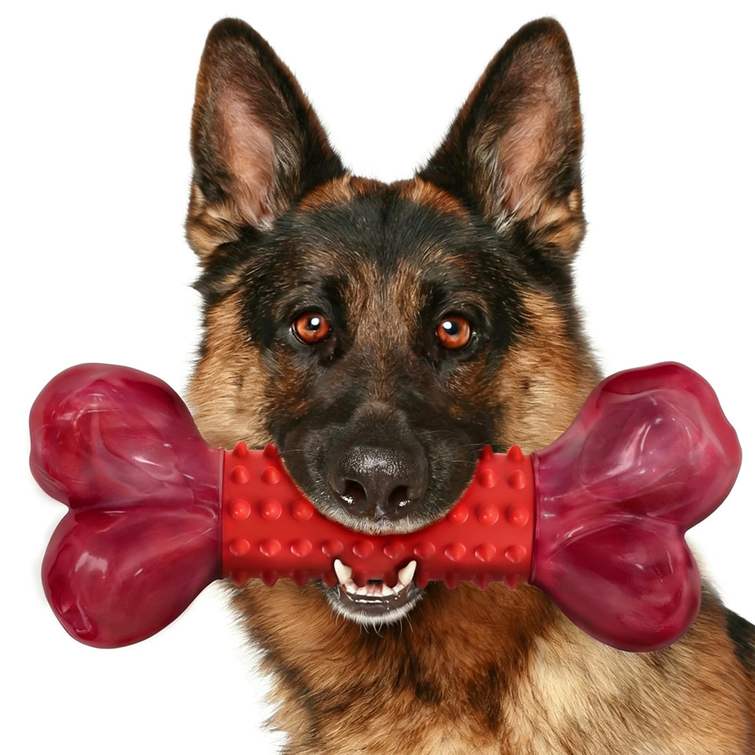 Apasiri Tough Dog Toys for Aggressive Chewers