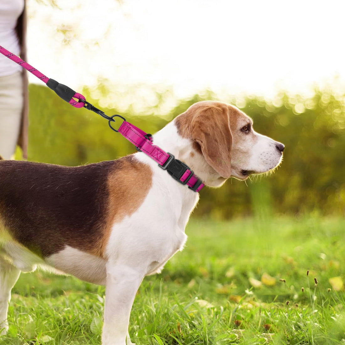 Padded Martingale Collar for Medium Dogs, Quick Release Buckle